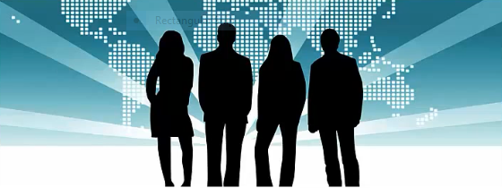 Company Team